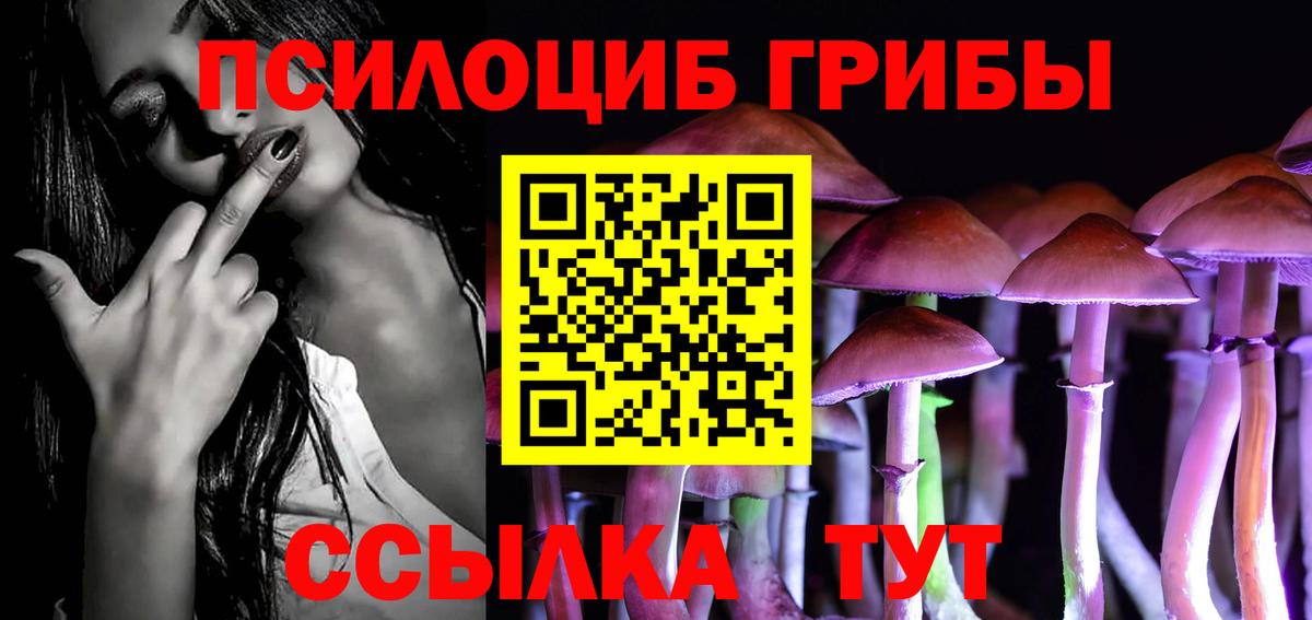 Псилоцибиновые грибы мицелий  Вход с VPN  Заинск  Псилоцибиновые грибы Psilocybine cubensis 